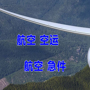 临沧博尚航空邮寄快递-选东方航空和上海航空