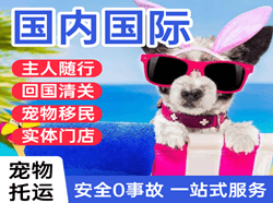 临沧博尚航空邮寄国际宠物托运 【国